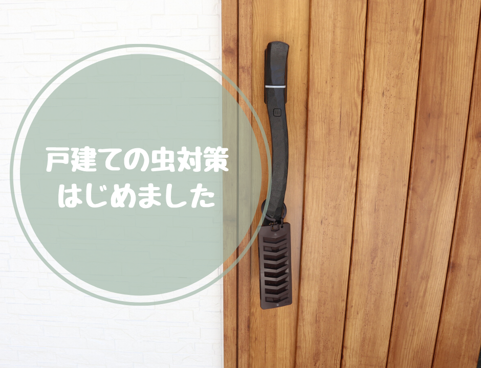 戸建ての虫対策はじめました 虫の写真なし 節約しながらも楽しい暮らし 戸建ての虫対策はじめました 虫の写真なし 節約しながらも楽しい暮らし